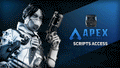 APEX Scripts Access