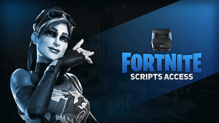 Fortnite Scripts Access